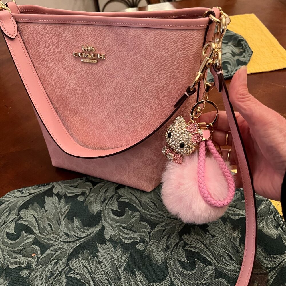 NWT Coach City Bucket Bag in the original Powder Pink from 2025 WITH CHARMS! - Picture 5 of 7